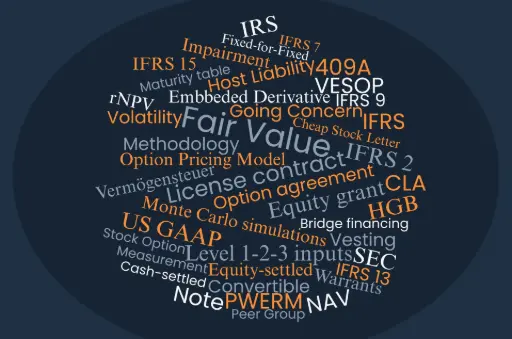 Fair Value accounting
