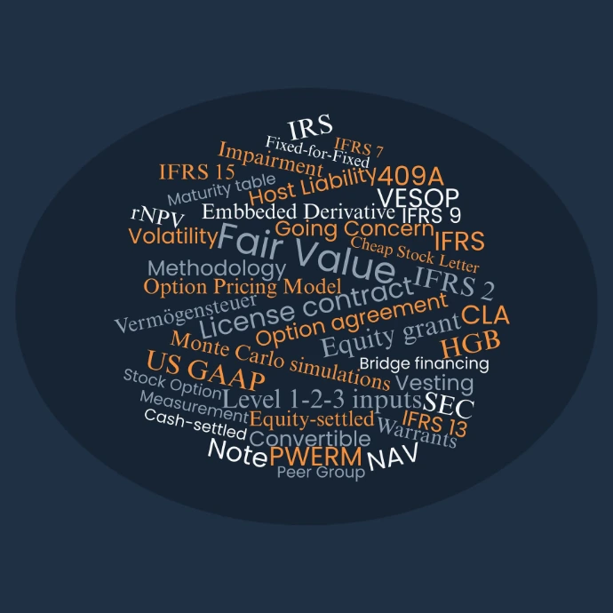 the lexicon of fair value